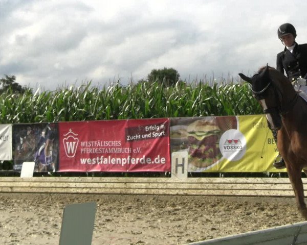 Reitturnier Ostbevern 2023