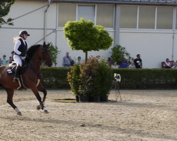 Reitturnier St.Wendel, Gestüt Welvert 2023