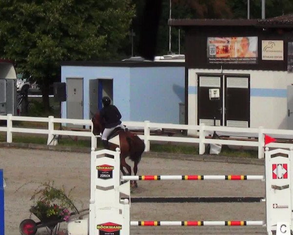 Reitturnier Hüntwangen 2023