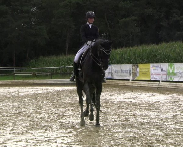 Reitturnier Ostbevern 2023