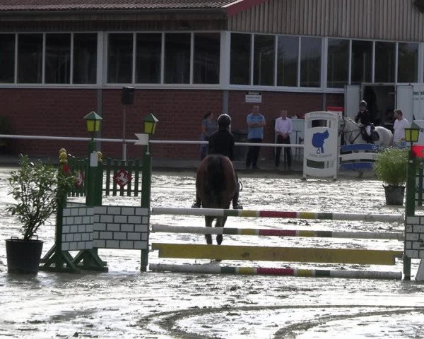 Reitturnier Werne 2023