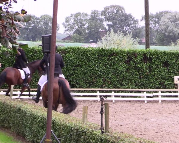 Reitturnier Kirchhellen-RSV Zur Linde 2021