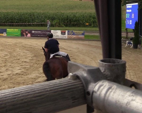 Reitturnier Duderstadt 2023