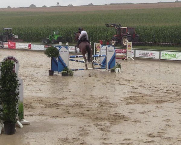 Reitturnier Duderstadt 2023