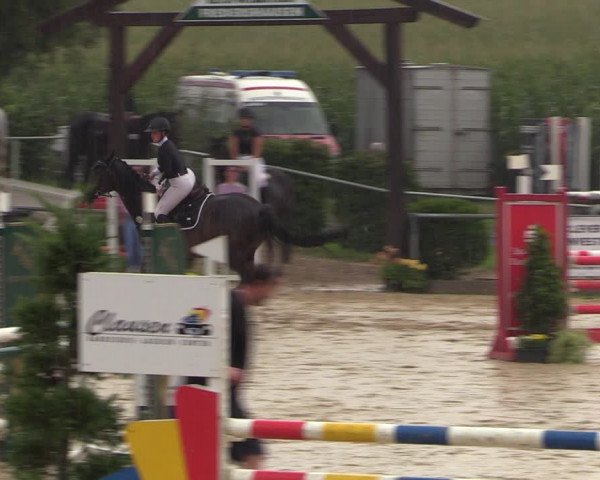 Reitturnier Duderstadt 2023