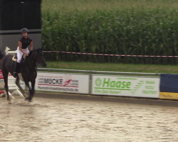 Reitturnier Duderstadt 2023