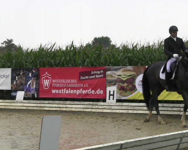 Reitturnier Ostbevern 2023