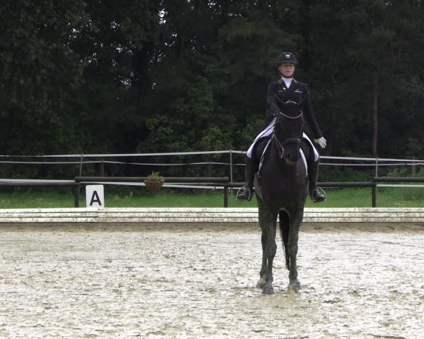 Reitturnier Ostbevern 2023