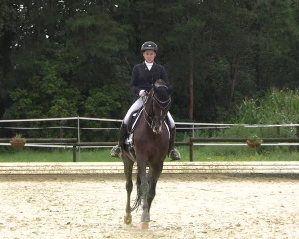 Reitturnier Ostbevern 2023