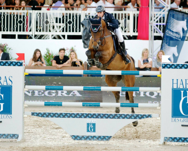jumper Wings Sublieme (KWPN (Royal Dutch Sporthorse), 2003, from Oklund)