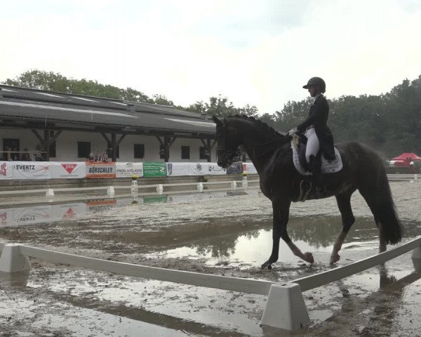 Reitturnier Solingen 2023