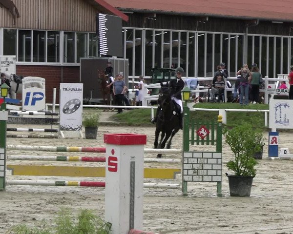 Reitturnier Werne 2023
