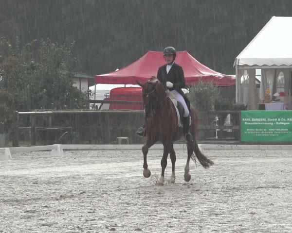 Reitturnier Solingen 2023