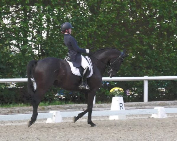 Reitturnier Zillhofen/Obb. 2023