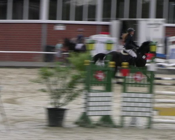 Reitturnier Werne 2023
