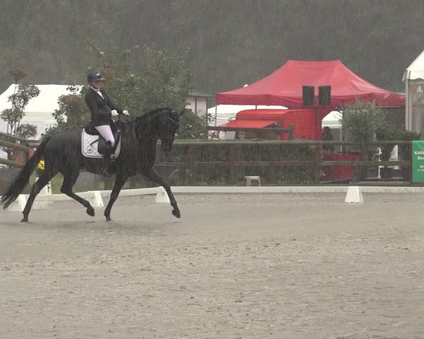 Reitturnier Solingen 2023