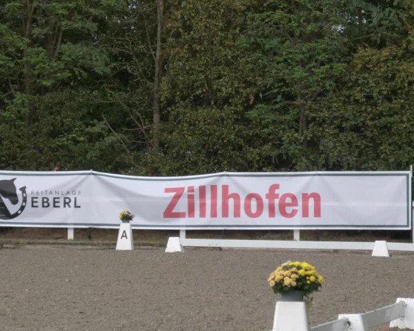 Reitturnier Zillhofen/Obb. 2023