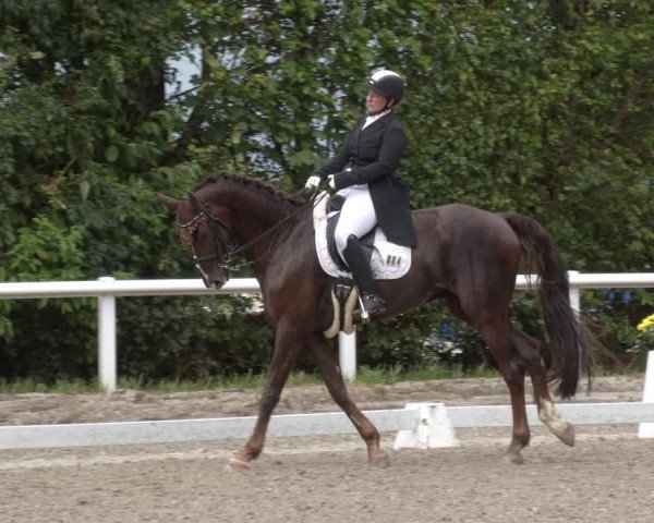 Reitturnier Zillhofen/Obb. 2023