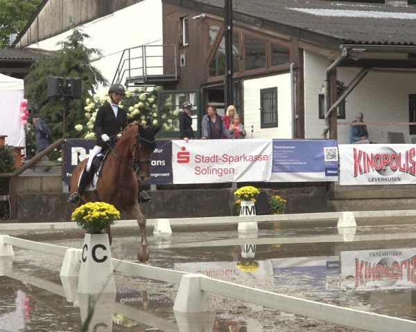 Reitturnier Solingen 2023