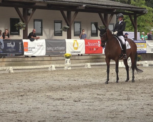 Reitturnier Solingen 2023