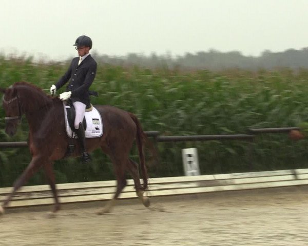 Reitturnier Ostbevern 2023