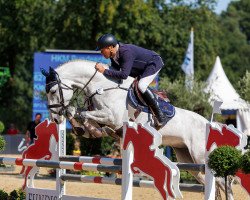 broodmare Kara Catch (Holsteiner, 2017, from Catch)