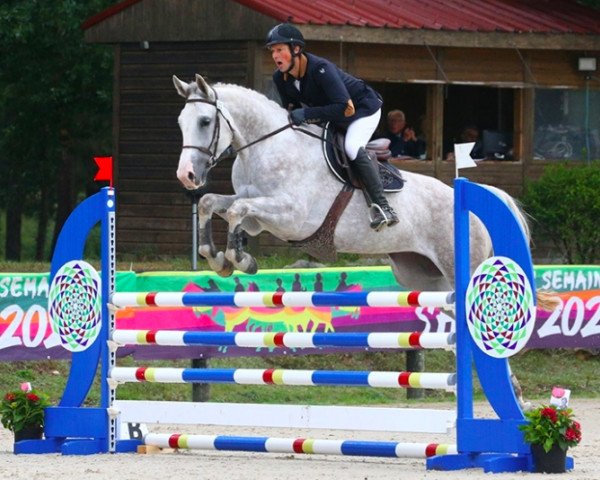 horse Galilea del Colle (Selle Français, 2016, from President)