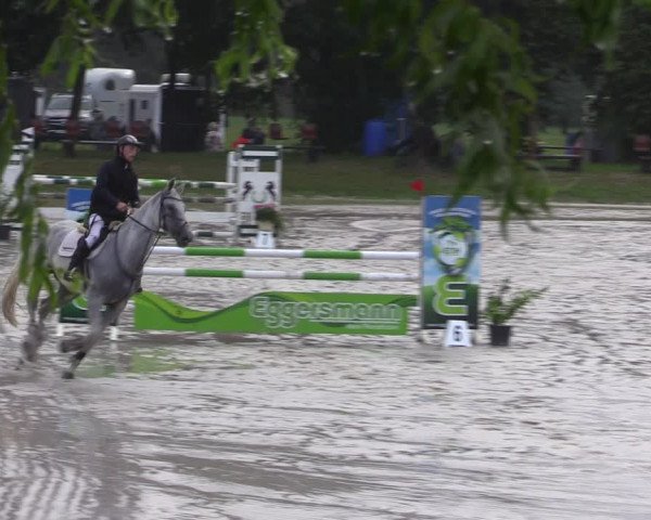 Reitturnier Pietzpuhl 2023