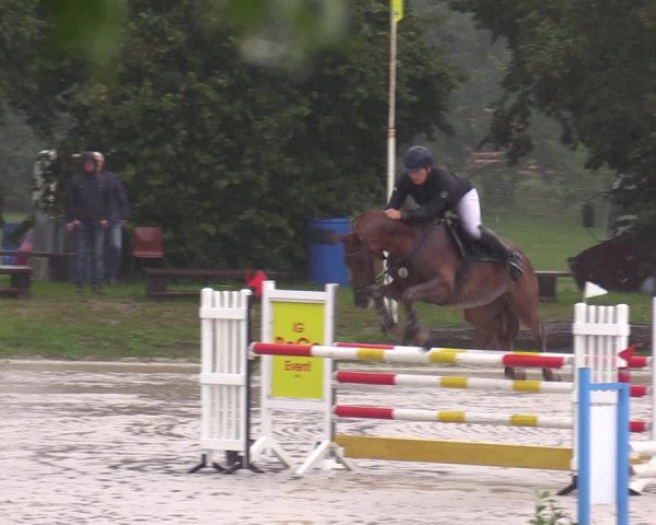 Reitturnier Pietzpuhl 2023