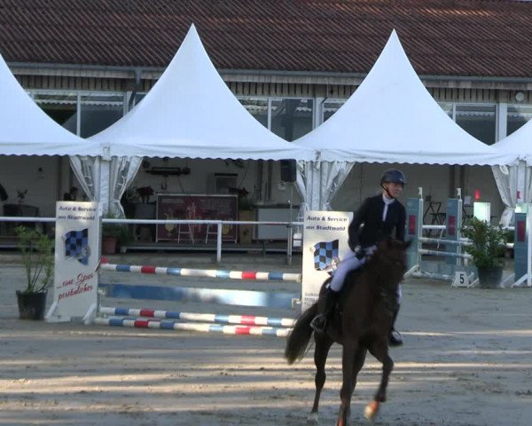 Reitturnier Werne 2023
