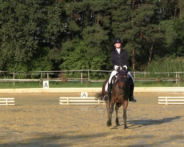 Reitturnier Ostbevern 2023