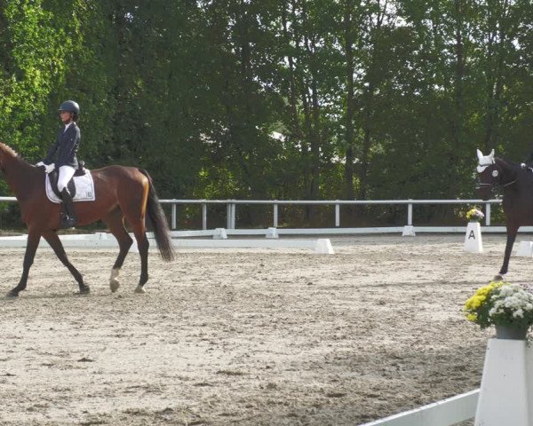 Reitturnier Zillhofen/Obb. 2023