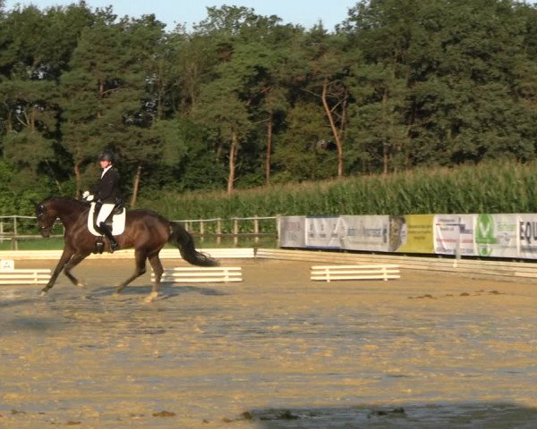 Reitturnier Ostbevern 2023