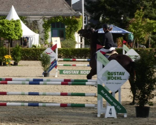 Reitturnier St.Wendel, Gestüt Welvert 2023