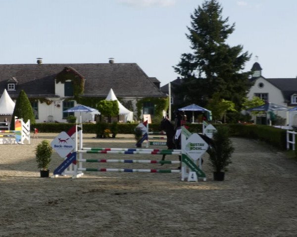 Reitturnier St.Wendel, Gestüt Welvert 2023