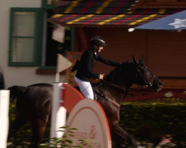 Reitturnier St.Wendel, Gestüt Welvert 2023