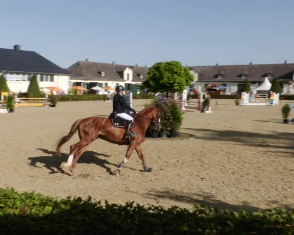 Reitturnier St.Wendel, Gestüt Welvert 2023