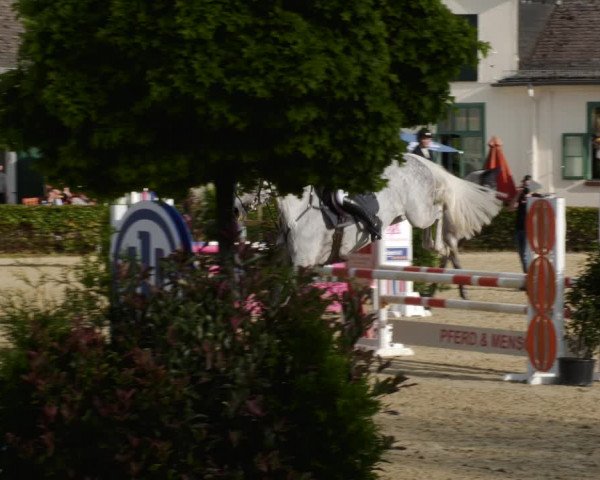 Reitturnier St.Wendel, Gestüt Welvert 2023