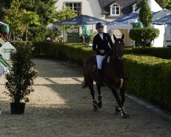 Reitturnier St.Wendel, Gestüt Welvert 2023