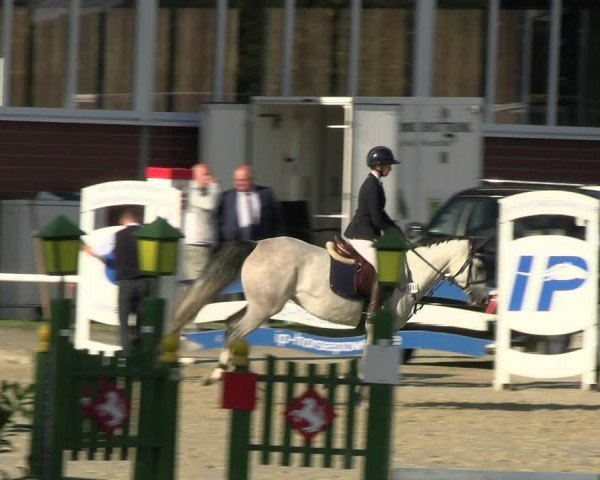 Reitturnier Werne 2023