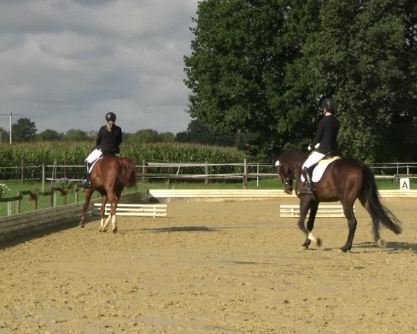 Reitturnier Ostbevern 2023