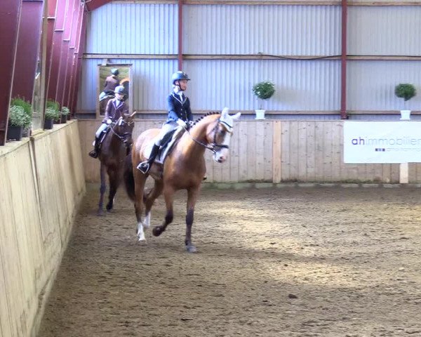 Reitturnier Kleinsolt 2023