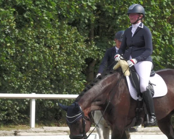 Reitturnier Zillhofen/Obb. 2023