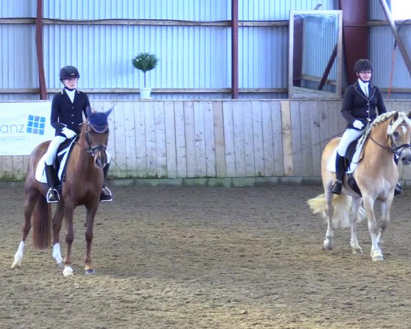 Reitturnier Kleinsolt 2023