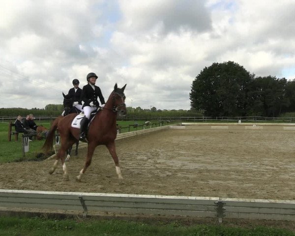 Reitturnier Ostbevern 2023