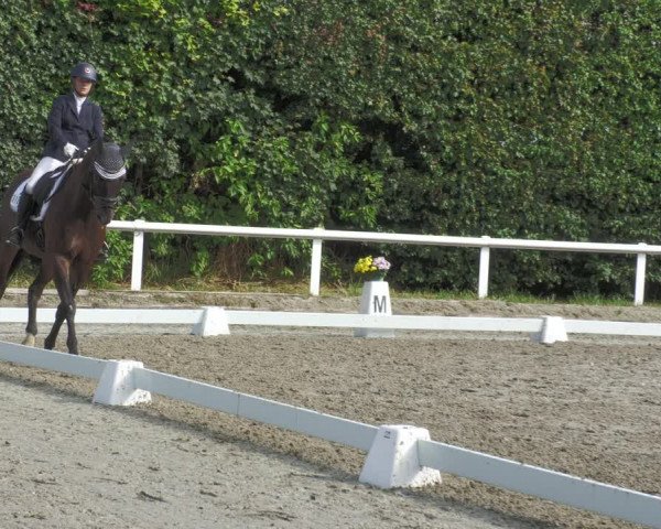 Reitturnier Zillhofen/Obb. 2023