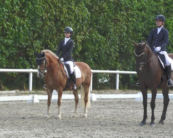 Reitturnier Zillhofen/Obb. 2023