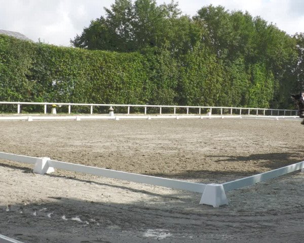 Reitturnier Zillhofen/Obb. 2023
