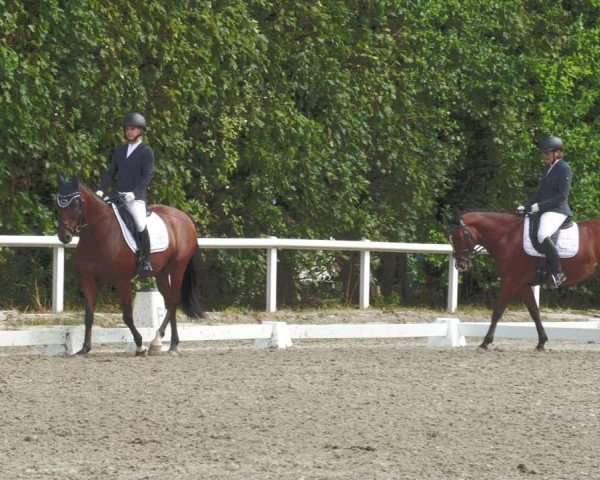 Reitturnier Zillhofen/Obb. 2023