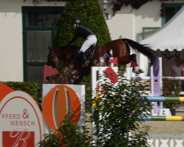 Reitturnier St.Wendel, Gestüt Welvert 2023
